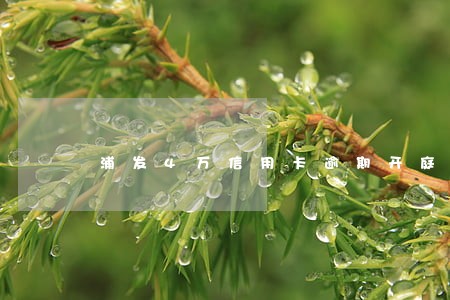 浦发4万信用卡逾期开庭 浦发4万信用卡逾期开庭