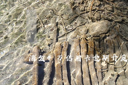 浦发4万信用卡逾期开庭判刑 浦发4万信用卡逾期开庭判刑