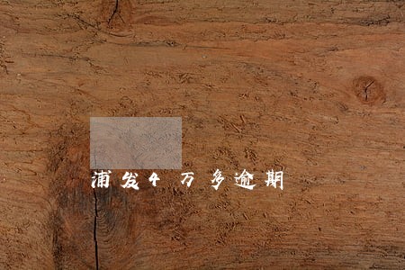 浦发4万多逾期 浦发4万多逾期