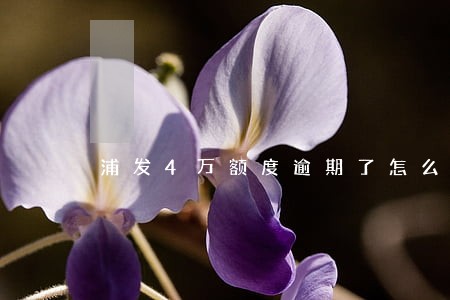 浦发4万额度逾期了怎么办 浦发4万额度逾期了怎么办