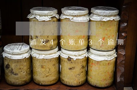 浦发4个账单3个逾期 浦发4个账单3个逾期