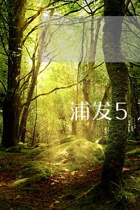 浦发5万逾期3个月