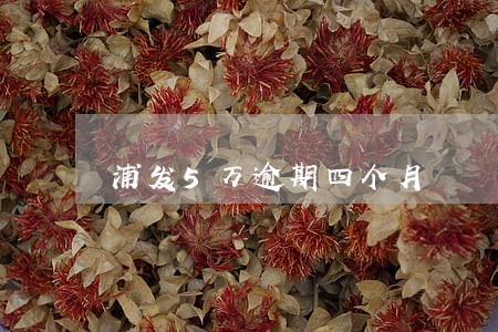 浦发5万逾期四个月 浦发5万逾期四个月