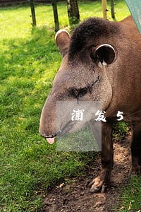 浦发5万额度逾期一年 浦发5万额度逾期一年