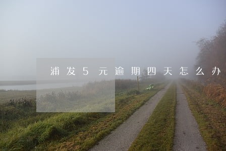 浦发5元逾期四天怎么办 浦发5元逾期四天怎么办