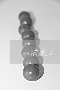 浦发6万逾期