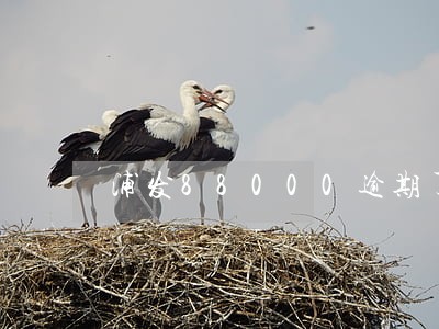 浦发88000逾期了会怎么样 浦发88000逾期了会怎么样