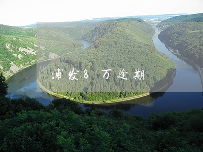 浦发8万逾期