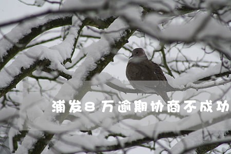 浦发8万逾期协商不成功怎么办 浦发8万逾期协商不成功怎么办