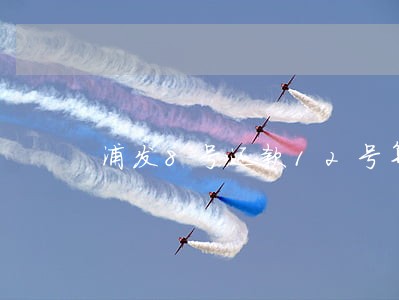 浦发8号还款12号算逾期吗上海 浦发8号还款12号算逾期吗上海