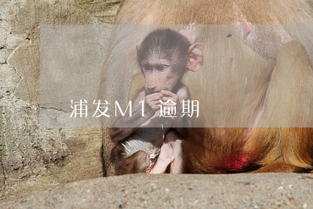浦发M1逾期 浦发M1逾期