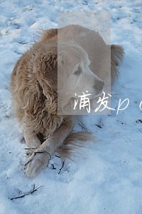 浦发pos机还款逾期一日