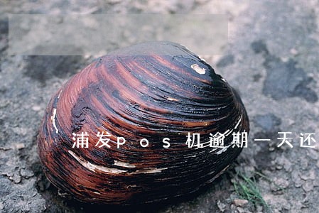 浦发pos机逾期一天还款 浦发pos机逾期一天还款