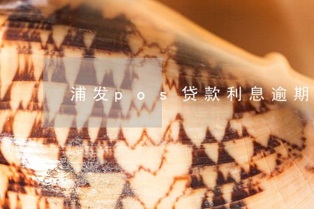 浦发pos贷款利息逾期