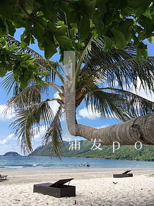 浦发pos贷逾期两年 浦发pos贷逾期两年