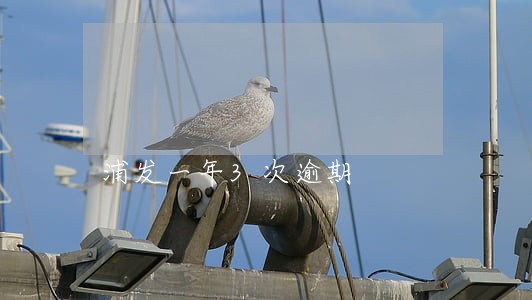 浦发一年3次逾期 浦发一年3次逾期