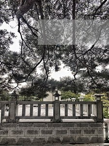 浦发一类逾期 浦发一类逾期