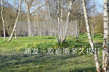 浦发一般逾期多久拨打亲属电话 浦发一般逾期多久拨打亲属电话