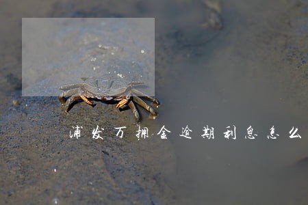 浦发万拥金逾期利息怎么减免 浦发万拥金逾期利息怎么减免