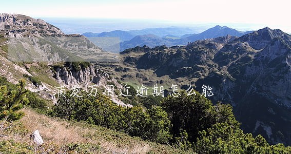 浦发万用近逾期怎么能 浦发万用近逾期怎么能
