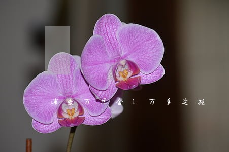 浦发万用金1万多逾期 浦发万用金1万多逾期