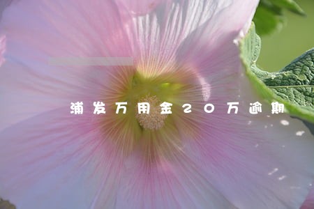 浦发万用金20万逾期 浦发万用金20万逾期