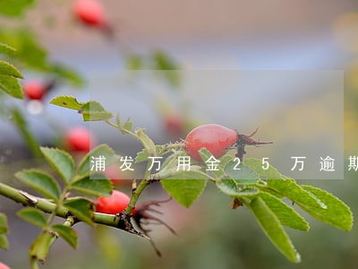 浦发万用金25万逾期