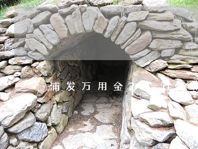 浦发万用金25万逾期3个月 浦发万用金25万逾期3个月