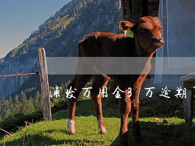 浦发万用金3万逾期了 浦发万用金3万逾期了