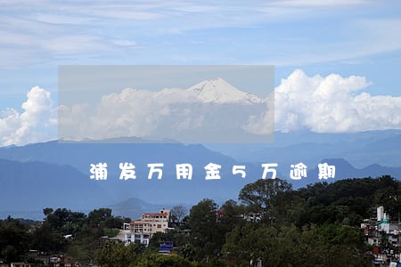 浦发万用金5万逾期