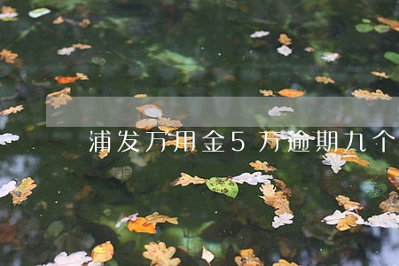 浦发万用金5万逾期九个月