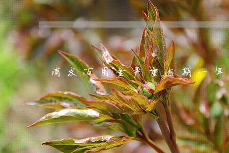 浦发万用金严重逾期一年怎么办 浦发万用金严重逾期一年怎么办