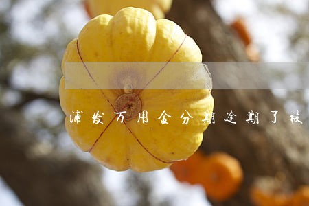 浦发万用金分期逾期了被催 浦发万用金分期逾期了被催