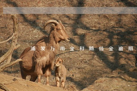 浦发万用金和随借金逾期 浦发万用金和随借金逾期
