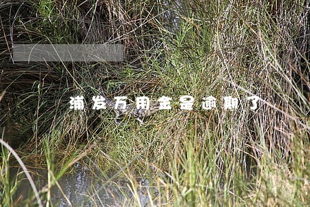 浦发万用金是逾期了
