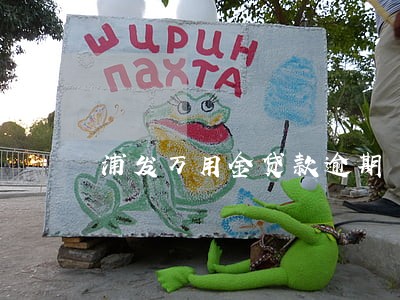 浦发万用金贷款逾期 浦发万用金贷款逾期