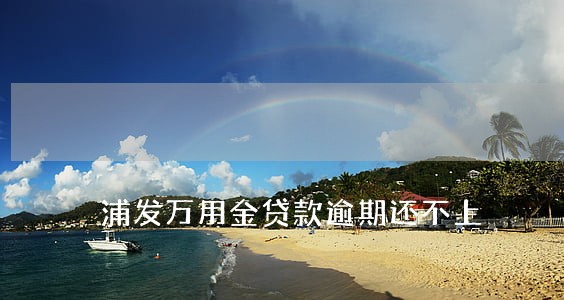 浦发万用金贷款逾期还不上 浦发万用金贷款逾期还不上