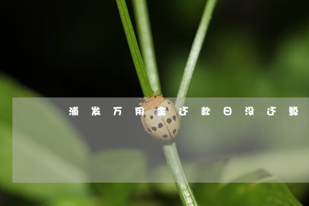 浦发万用金还款日没还算逾期吗 浦发万用金还款日没还算逾期吗