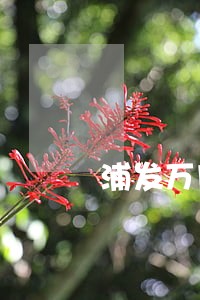 浦发万用金逾期18万 浦发万用金逾期18万
