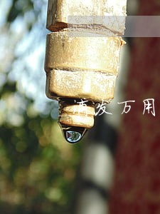 浦发万用金逾期1个月 浦发万用金逾期1个月