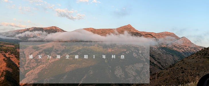 浦发万用金逾期1年利息 浦发万用金逾期1年利息
