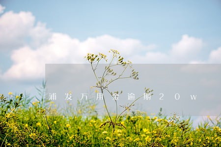 浦发万用金逾期20w 浦发万用金逾期20w