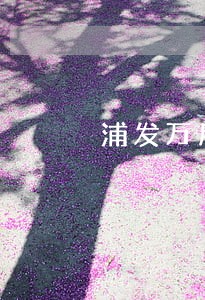 浦发万用金逾期25万