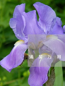 浦发万用金逾期3万协商 浦发万用金逾期3万协商