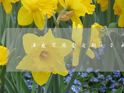 浦发万用金逾期40天 浦发万用金逾期40天