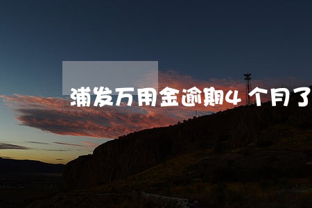 浦发万用金逾期4个月了怎么办 浦发万用金逾期4个月了怎么办