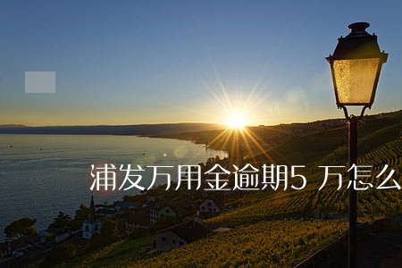 浦发万用金逾期5万怎么处理 浦发万用金逾期5万怎么处理