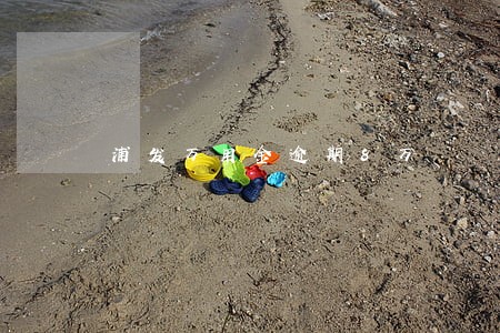 浦发万用金逾期8万