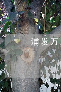 浦发万用金逾期一个月怎么处理 浦发万用金逾期一个月怎么处理