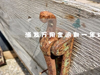 浦发万用金逾期一年以上的